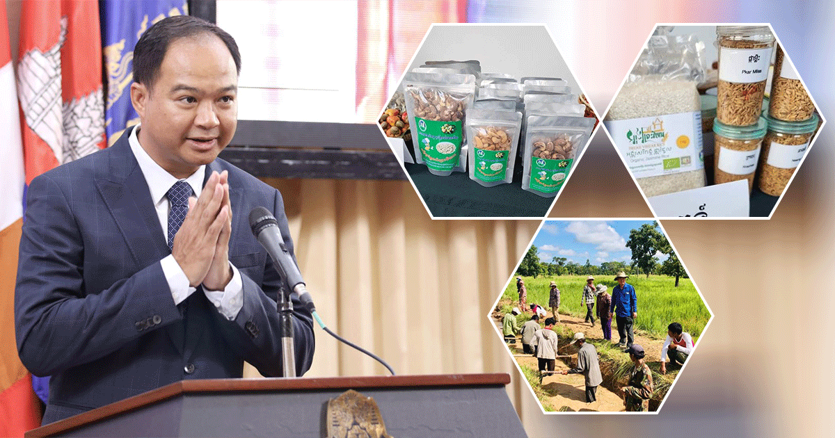 ប្រជាកសិករខេត្តព្រះវិហារលែងព្រួយបារម្ភរឿងទីផ្សារទៀតហើយ បន្ទាប់ពីខេត្តនេះបាននាំចេញកសិផលសេរីរាង្គឈានមុខគេនៅកម្ពុជា