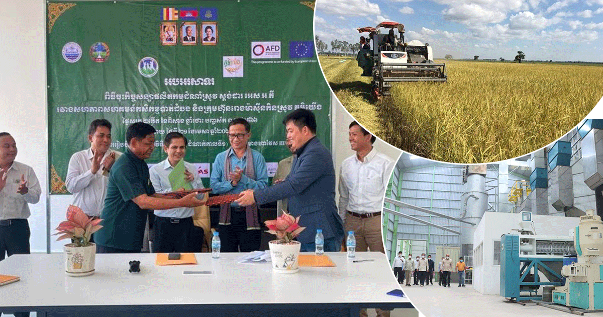 មន្ត្រីជាន់ខ្ពស់ក្រសួងកសិកម្ម ៖ ការសហការគ្នារវាងរោងម៉ាស៊ីន និងសហគមន៍ អាចជំរុញផលិតកម្មស្រូវនៅទូទាំងប្រទេស