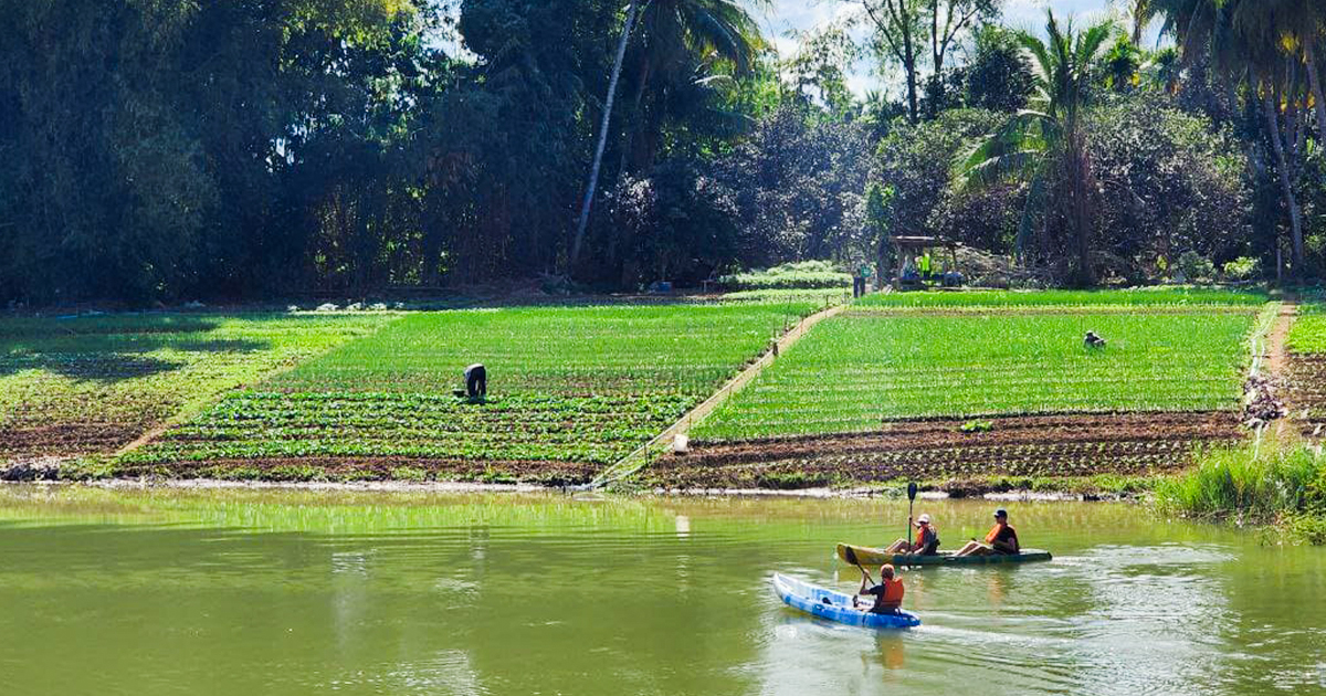 អ្នកភូមិដែលមានទីលំនៅតាមដងស្ទឹងសង្កែស្ថិតនៅឃុំឈើទាលកំពុងប្រើប្រាស់ដីជំរាលដាំដំណាំបន្លែចម្រុះ ដើម្បីបង្កើនចំណូល