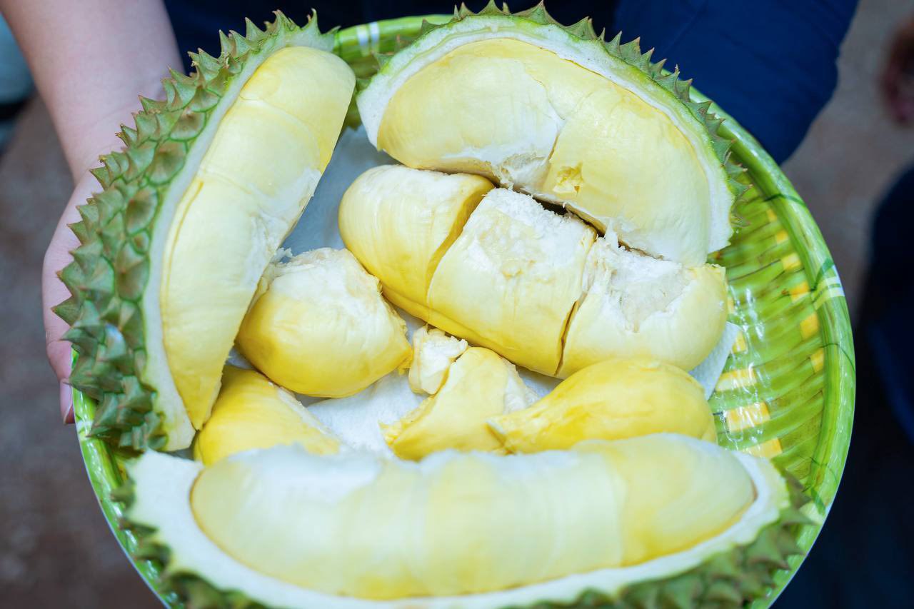 កុំភ្លេចទៅញាំប៊ុសហ្វេសទុរេននៅខេត្តបាត់ដំបង ក្នុង «ព្រឹត្តិការណ៍ផ្លែឈើបាត់ដំបងចុងខែនេះ»