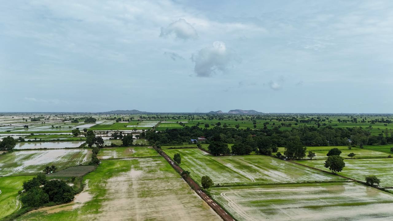 ជំនន់ទឹកភ្លៀងវាយប្រហារខេត្តបន្ទាយមានជ័យ៖ ក្រុមការងារជាន់ខ្ពស់ចុះវាយតម្លៃផលប៉ះពាល់ស្រូវជិត ១.១០០ ហិកតា