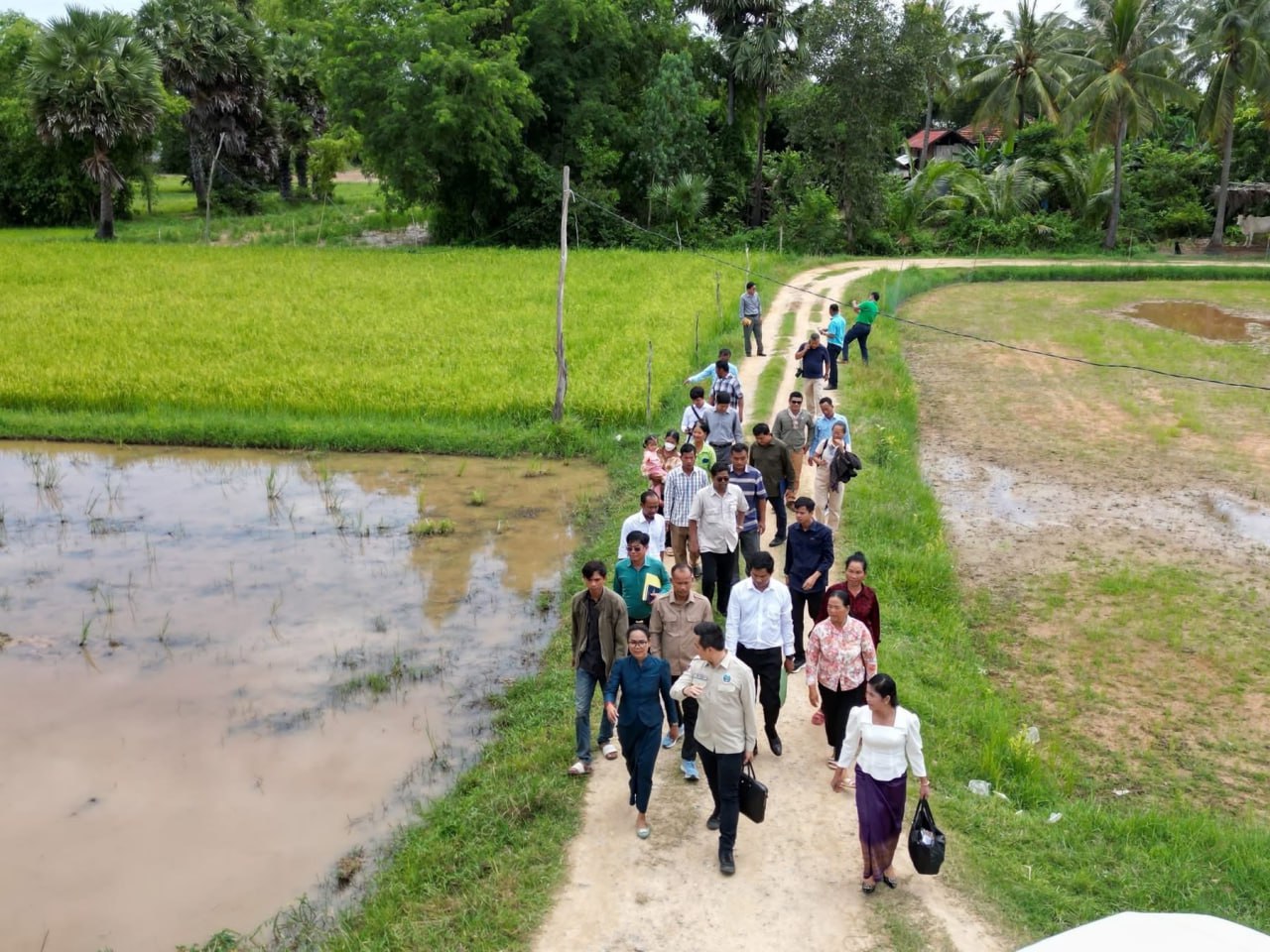 កសិករ ៨១ គ្រួសារនៅតាកែវ ទទួលបានជំនួយឥតសំណង ១,២ លានដុល្លារ សម្រាប់ដាំបន្លែ ចិញ្ចឹមមាន់ និងសាងសង់ផ្លូវ