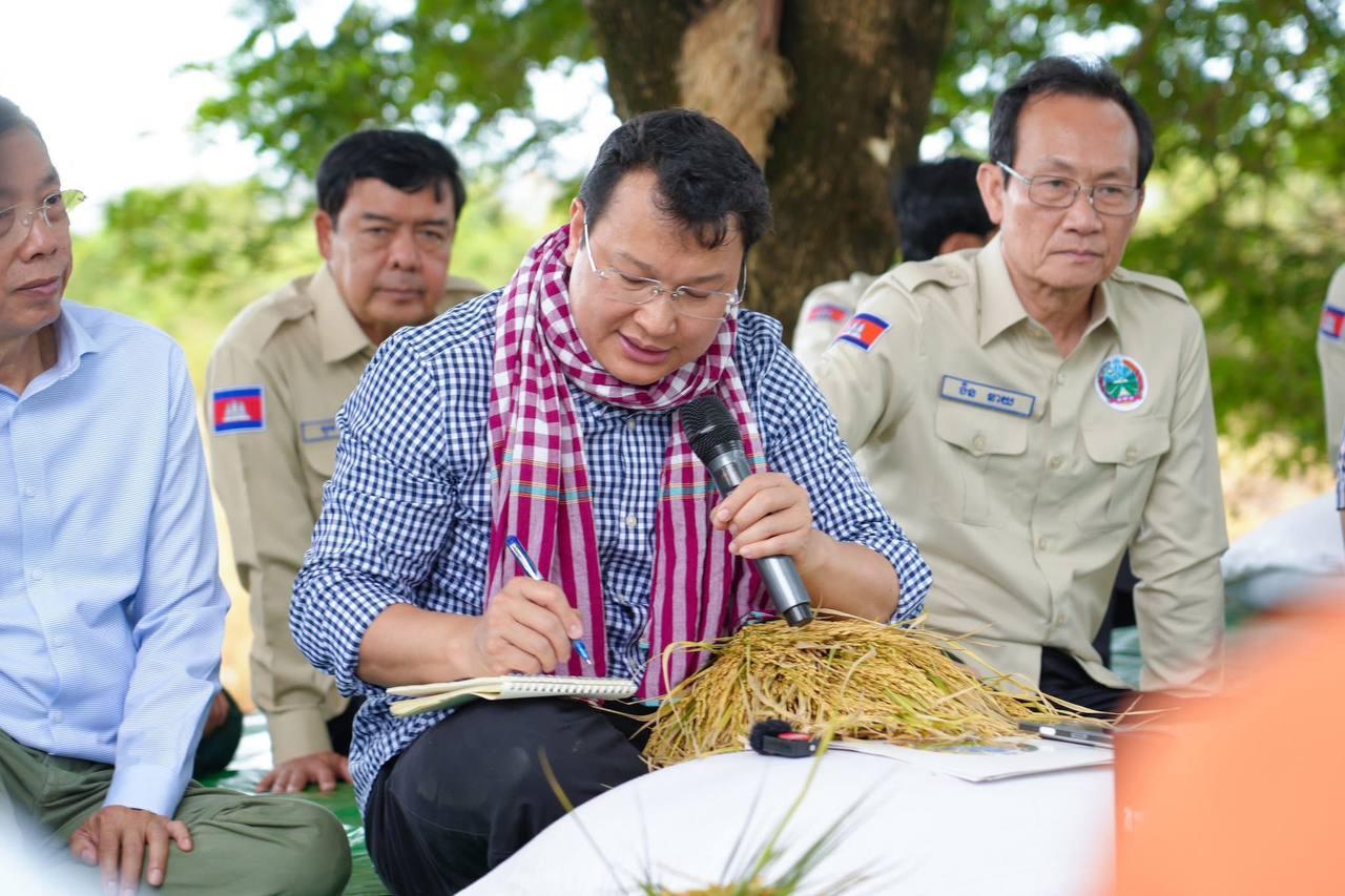 កសិករដាំស្រូវសែនក្រអូបនៅស្រុកបារាយណ៍ទទួលបានប្រាក់ចំណេញច្រើន