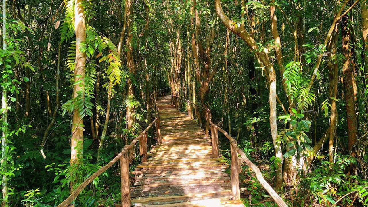 អាជ្ញាធរខេត្តសៀមរាប ជំរុញសហគមន៍ទឹកជប់ខ្នារពោធិ៍ បន្តរៀបចំឱ្យកាន់តែទាក់ទាញភ្ញៀវទេសចរ