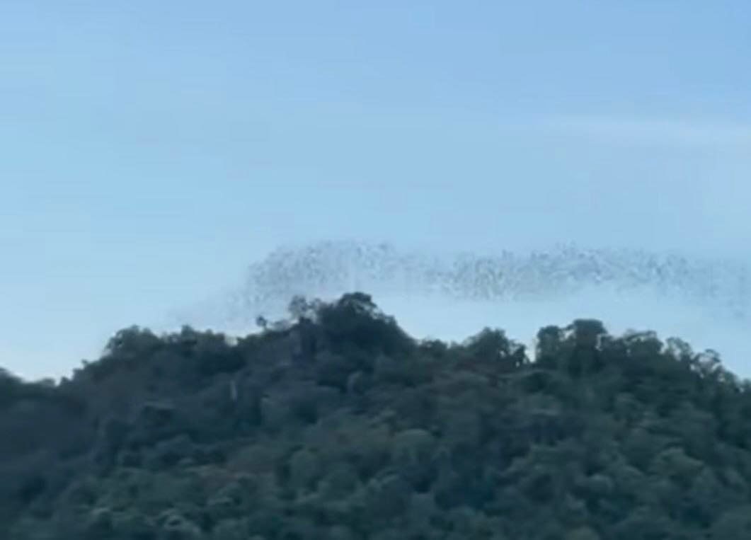 តំបន់ទេសភាពភ្នំព្រះគុហារហ្លួង នឹងត្រូវប្រែក្លាយទៅជាកន្លែងកំសាន្ត