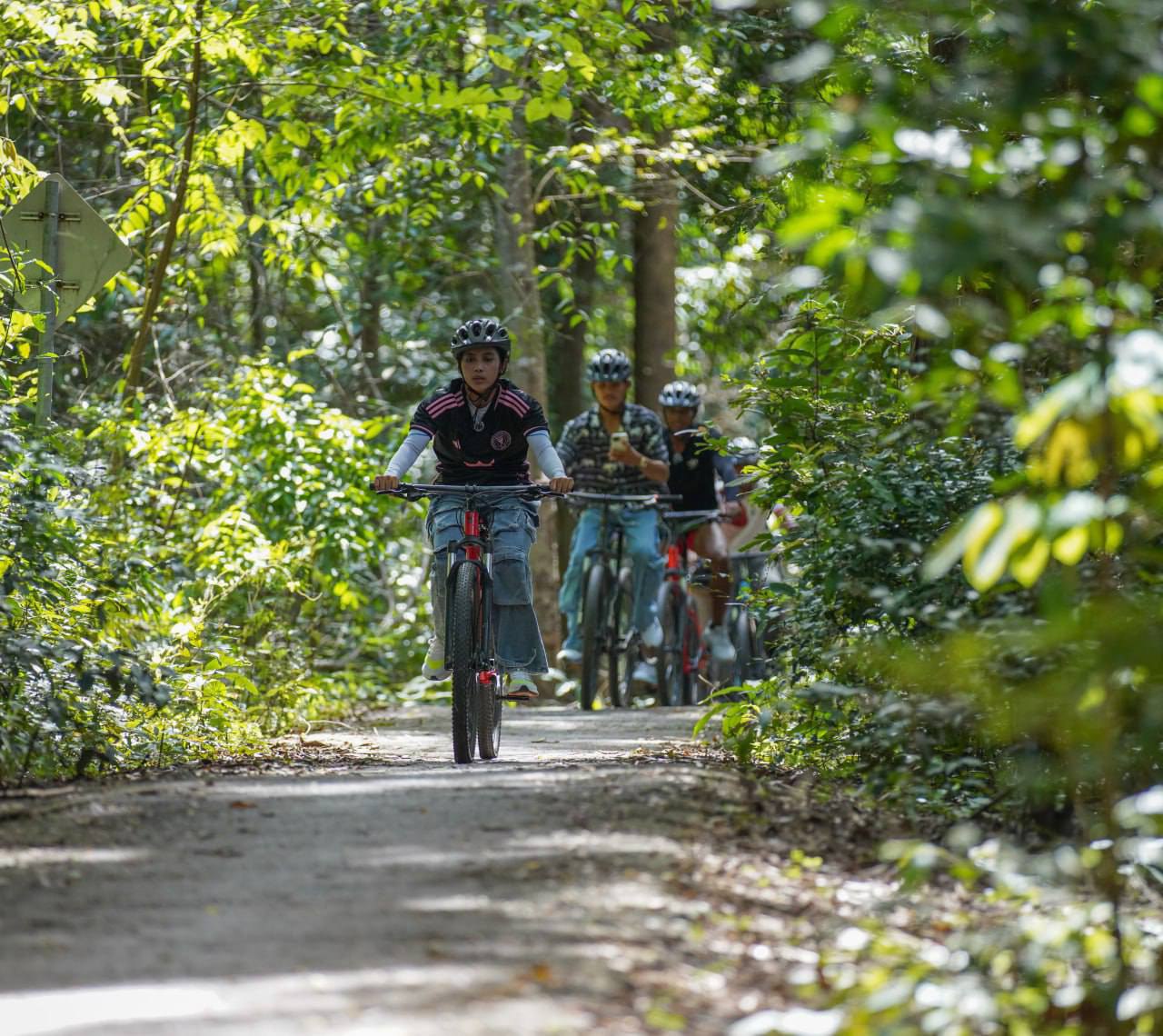 អ្នកជិះកង់ទស្សនាប្រាសាទ នៅក្នុងរមណីយដ្ឋានអង្គរ ជាង១០០កង់ក្នុង១ថ្ងៃៗ