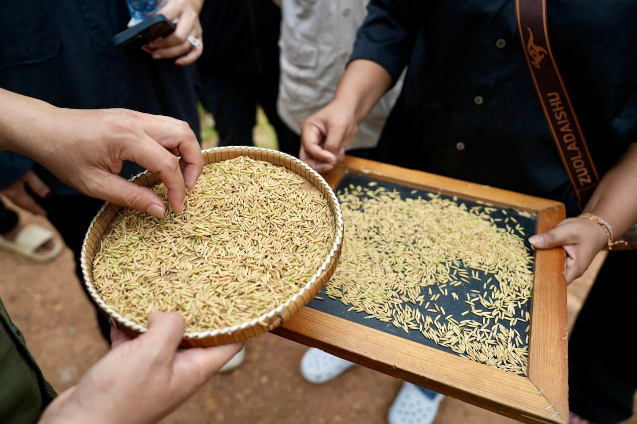 ក្រុមហ៊ុនវីរៈប៊ុនថាំ ចាប់ផ្តើមប្រមូលទិញស្រូវជាង៣ ម៉ឺនតោន ក្នុងតម្លៃ៩៥០៛/គីឡូក្រាម ពីសហគមន៍កសិកម្មទំនើប