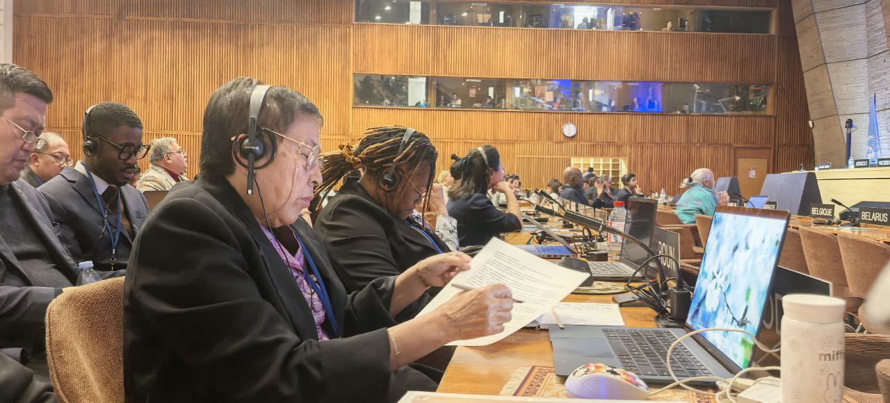 រដ្ឋមន្ត្រីវប្បធម៌ស្នើឲ្យមានបទបញ្ញត្តិច្បាស់លាស់អំពីការលួចចម្លងបេតិកភណ្ឌពិភពលោកដោយគ្មានការអនុញ្ញាត