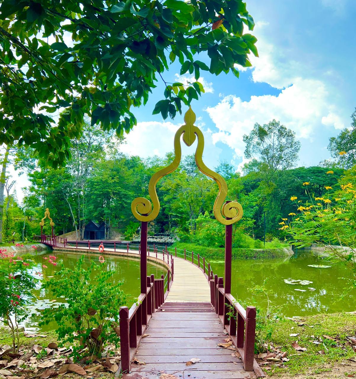 សួនរុក្ខជាតិអង្គរ ជាគោលដៅទេសចរណ៍ និងពេញនិយមដែលប្រមូលផ្ដុំទៅដោយសត្វ និងរុក្ខជាតិកម្រៗ