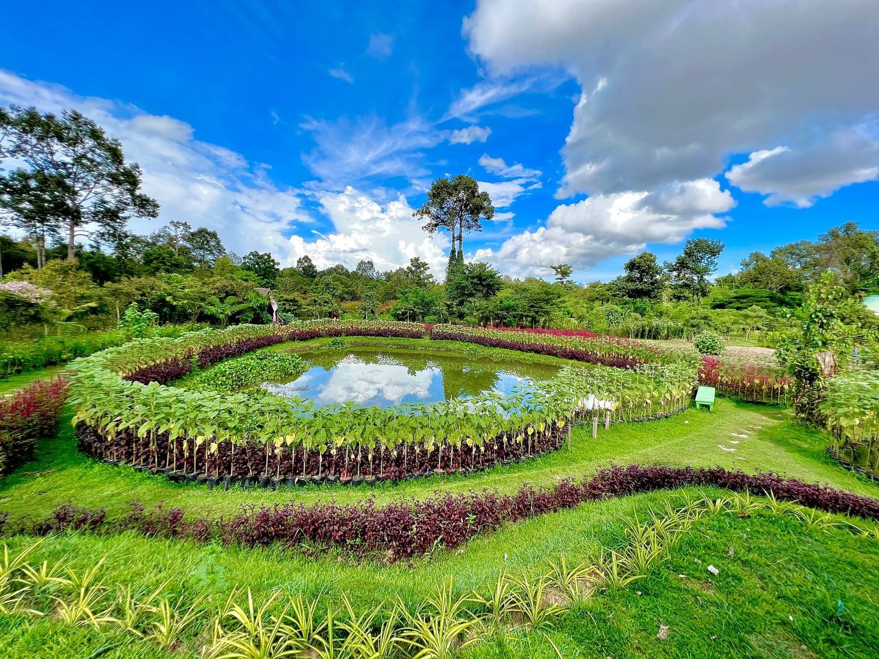 សួនរុក្ខជាតិអង្គរ ជាគោលដៅទេសចរណ៍ និងពេញនិយមដែលប្រមូលផ្ដុំទៅដោយសត្វ និងរុក្ខជាតិកម្រៗ