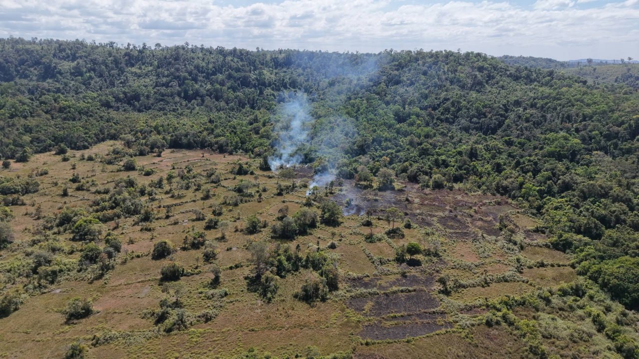 លោក ខូយ រីដា អំពាវនាវឱ្យបញ្ឈប់សកម្មភាពជាបន្ទាន់នូវទង្វើកាប់បំផ្លាញព្រៃឈើ និងចាប់យកដីព្រៃ ដោយខុសច្បាប់