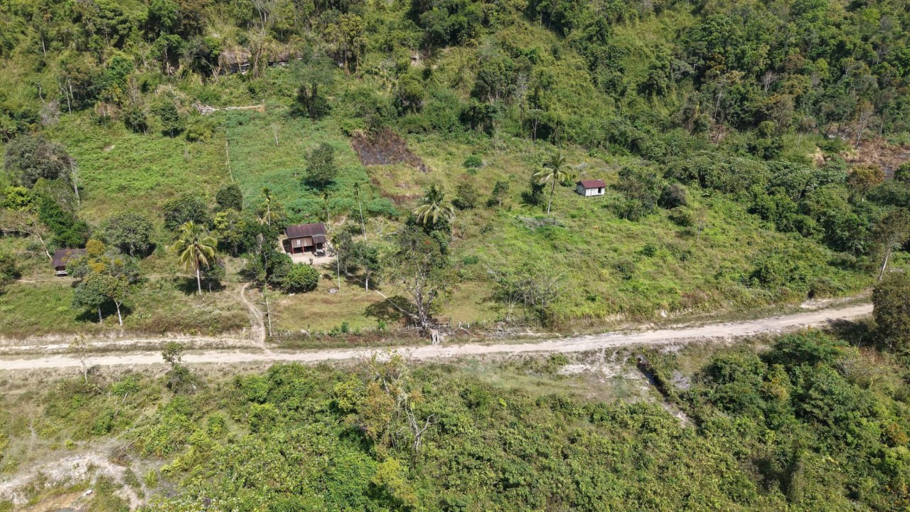 លោក ខូយ រីដា អំពាវនាវឱ្យបញ្ឈប់សកម្មភាពជាបន្ទាន់នូវទង្វើកាប់បំផ្លាញព្រៃឈើ និងចាប់យកដីព្រៃ ដោយខុសច្បាប់