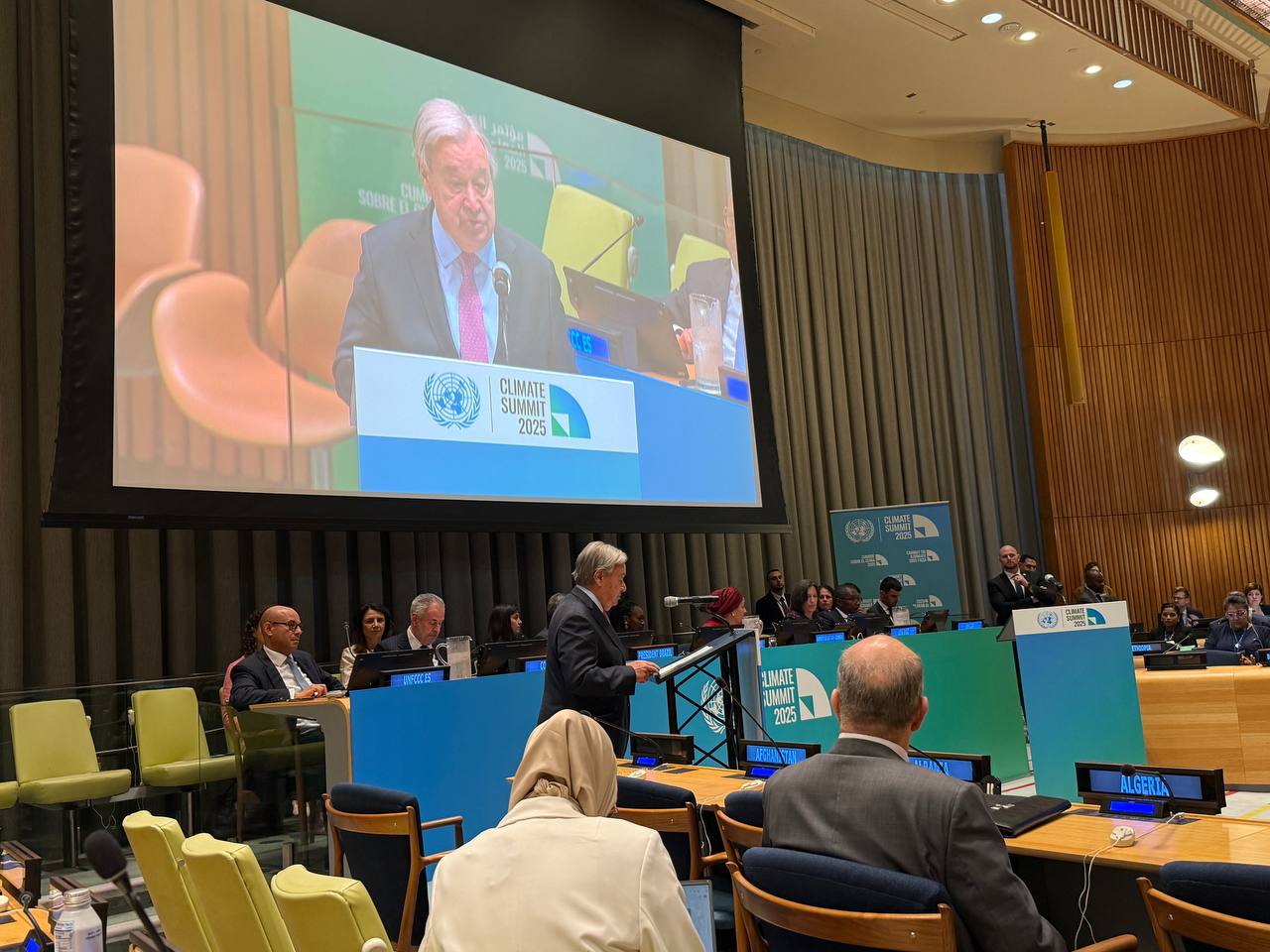 វិចារណកថា៖ ការឈ្លានពានដោយកម្លាំងយោធា និងការការពារជីវៈចម្រុះ