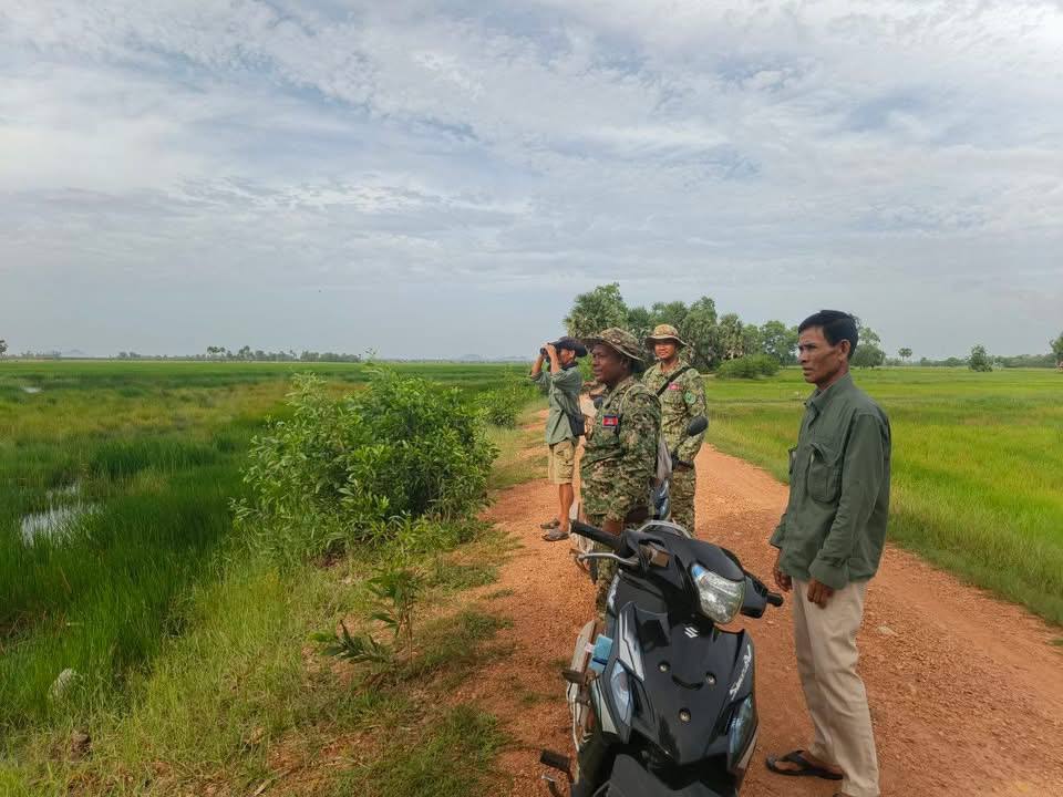 ប្រទះឃើញជាថ្មីនូវសត្វត្រដក់តូចមួយក្បាល ជាសត្វរងគ្រោះនៅតំបន់ការពារទេសភាពអន្លង់ព្រីងខេត្តកំពត