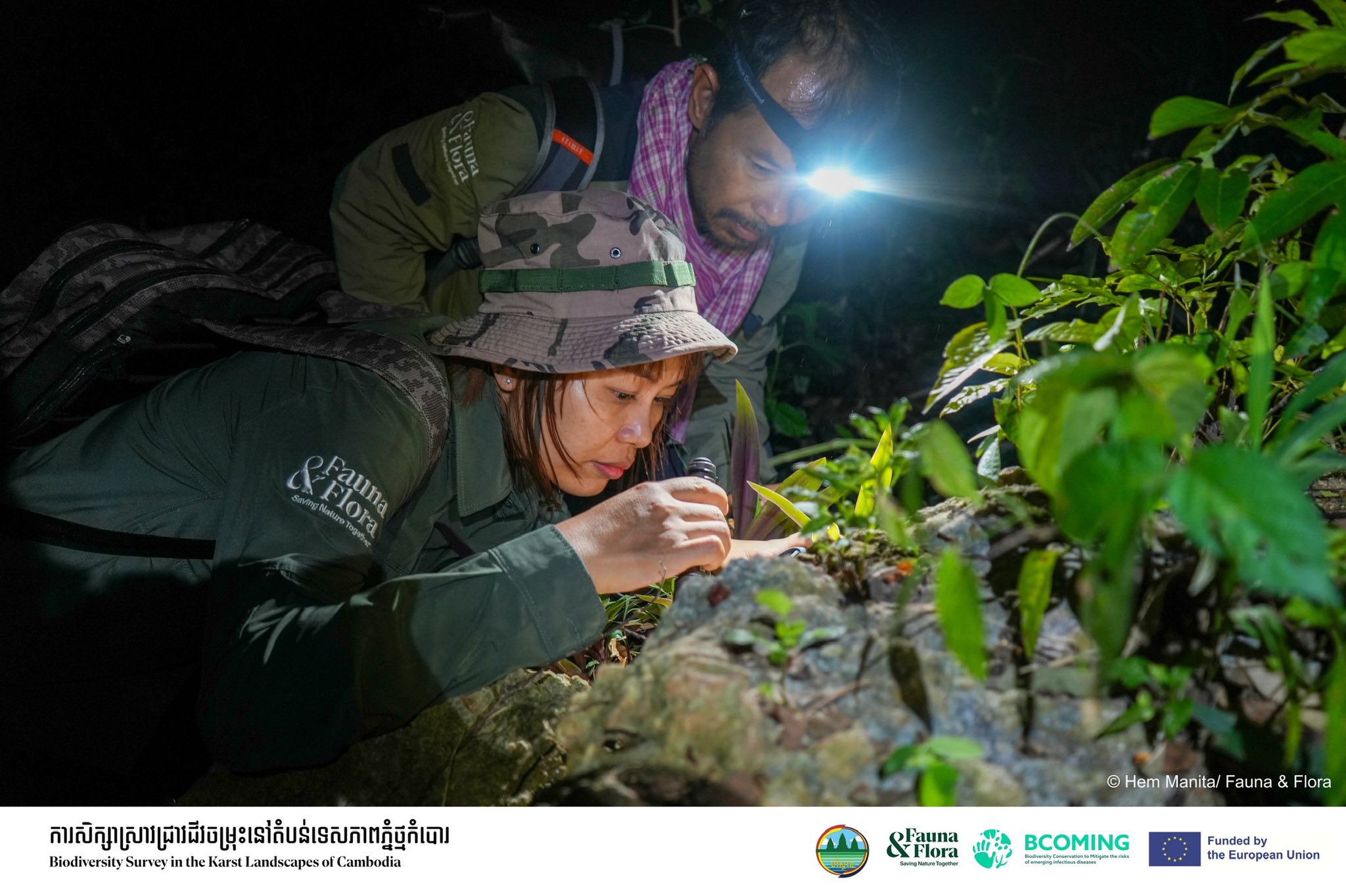 រកឃើញសត្វប្រភេទថ្មី និងកម្រជាច្រើននៅតំបន់ភ្នំថ្មកំបោរ