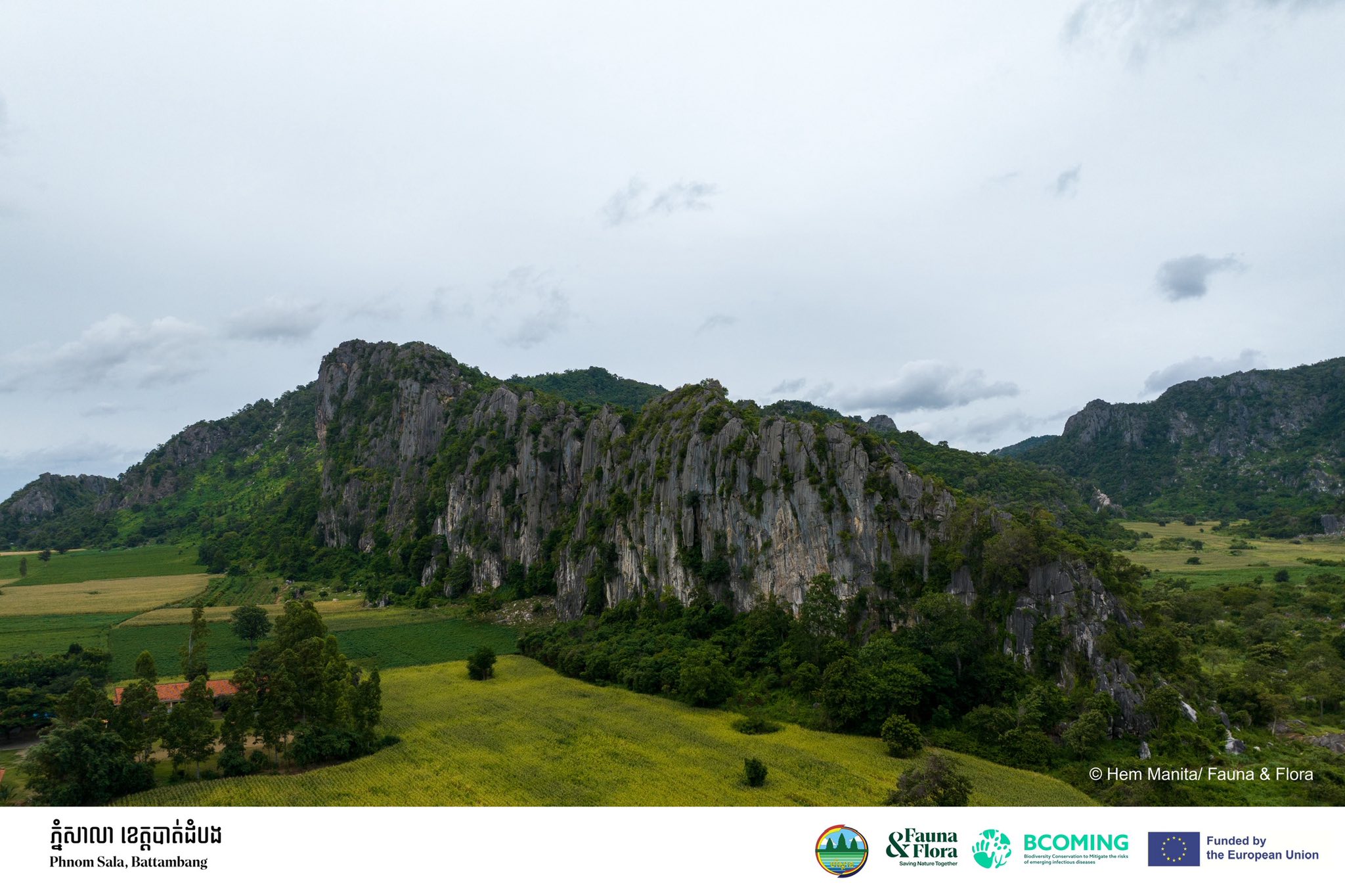 រកឃើញសត្វប្រភេទថ្មី និងកម្រជាច្រើននៅតំបន់ភ្នំថ្មកំបោរ