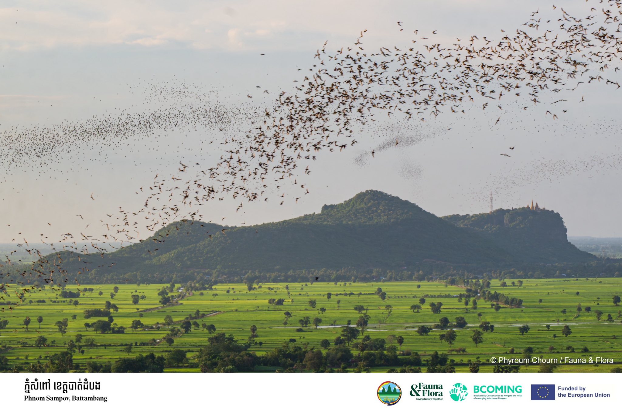 រកឃើញសត្វប្រភេទថ្មី និងកម្រជាច្រើននៅតំបន់ភ្នំថ្មកំបោរ