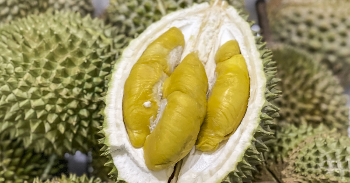 ថៃ និងវៀតណាមនាំចេញទុរេនទៅទីផ្សារចិន ក្រោមស្លាក Musang King របស់ ម៉ាឡេស៊ី