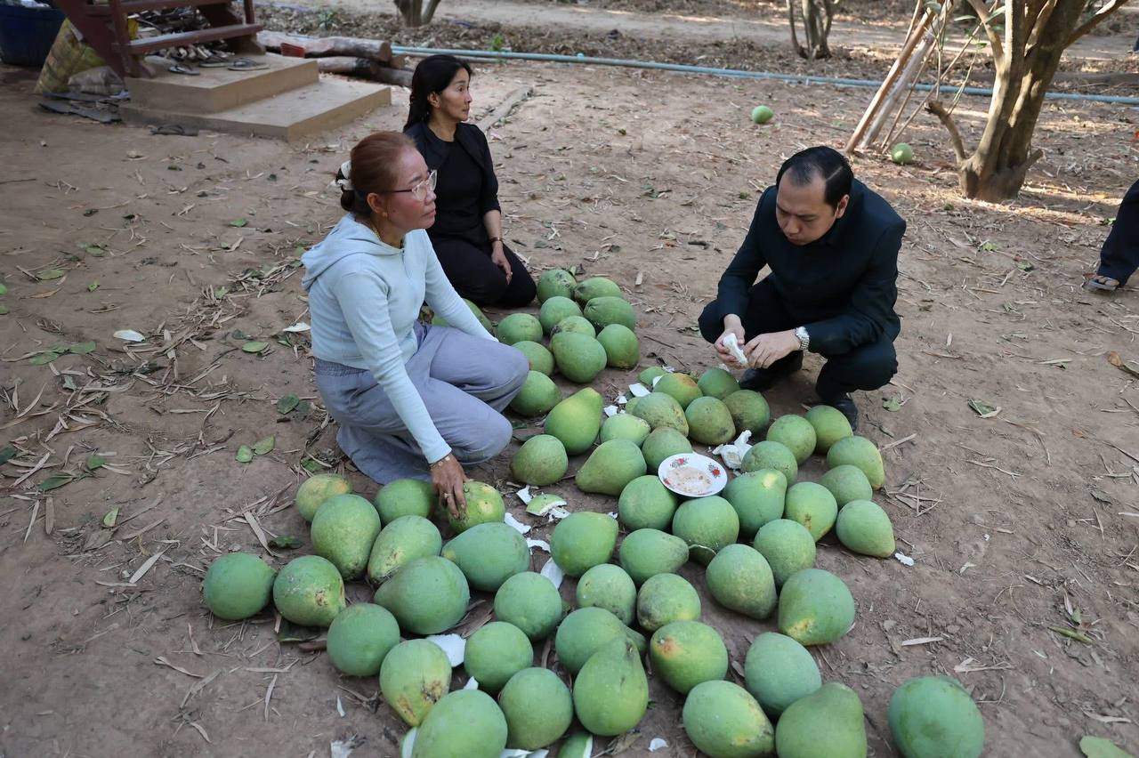 ឯកឧត្តម នេត្រ ភក្ត្រា ជំរុញឲ្យរក្សាពូជ «ក្រូចថ្លុងកោះទ្រង់» ឲ្យបានល្អ ដើម្បីបង្កើនចំណូល និងលើកស្ទួយជីវភាពគ្រួសារ