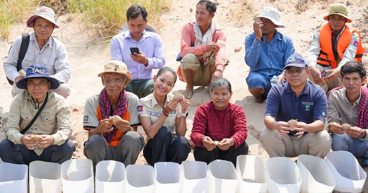 សត្វកន្ធាយក្បាលកង្កែប ដែលជាប្រភេទសត្វជិតផុតពូជ ១៥ក្បាល ត្រូវបានលែងចូលទៅក្នុងដែនទឹកធម្មជាតិ