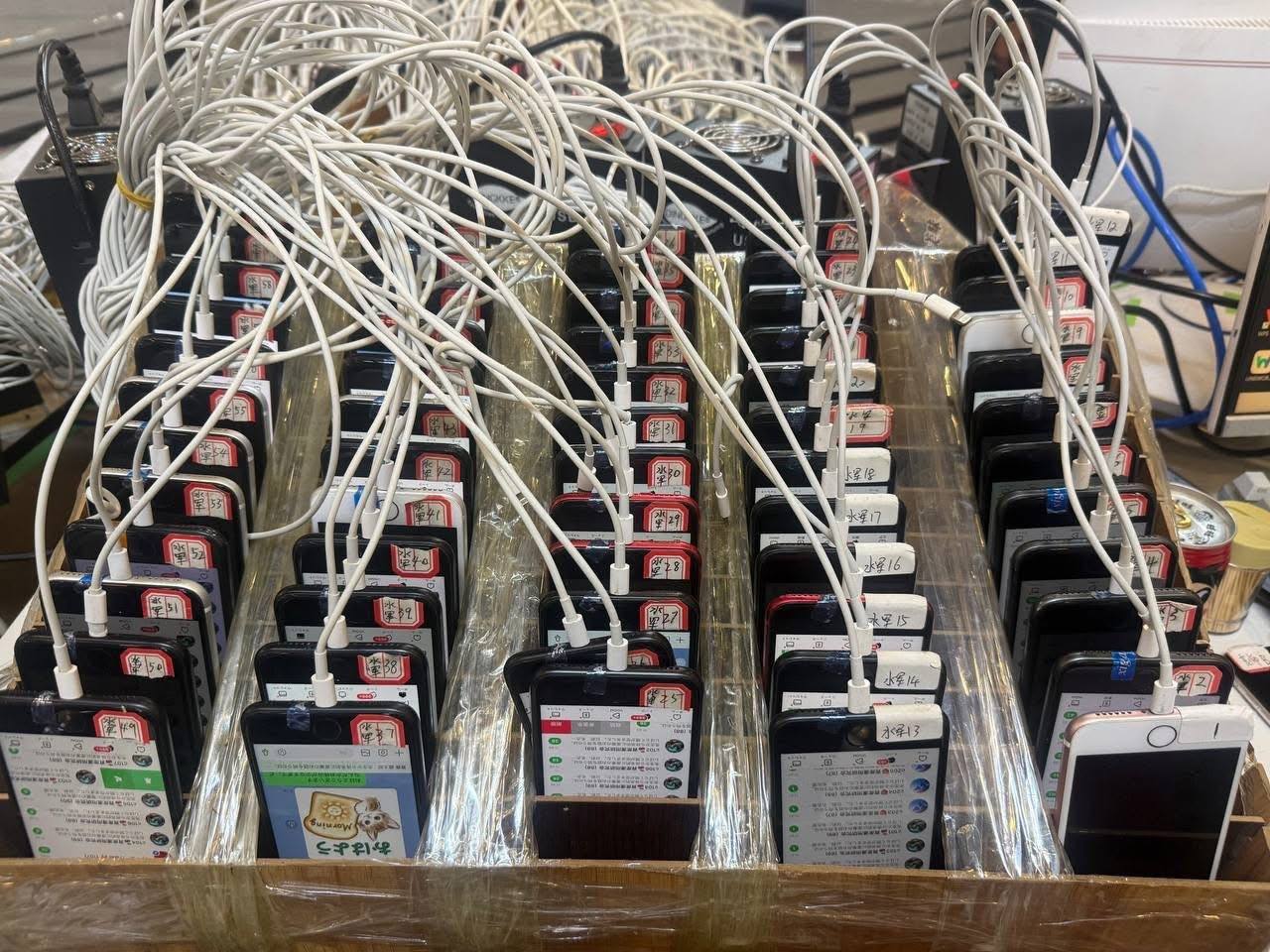 ជនបរទេស៣៩៨នាក់ ត្រូវបានឃាត់ខ្លួនក្នុងប្រតិបត្តិការបោសសម្អាតបទល្មើសអនឡាញស្កេម