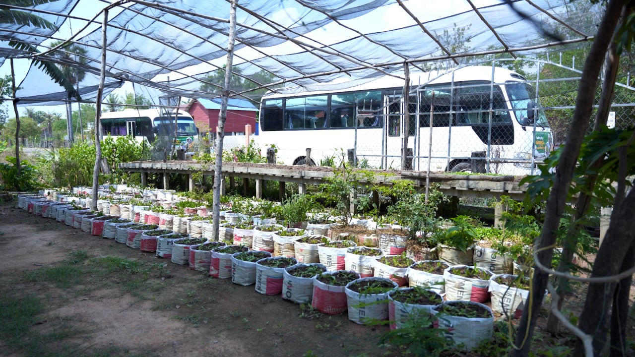 កសិករគំរូសហគមន៍មាន់ស្រែធម្មជាតិសុវត្ថិភាពកៀនសង្កែ កែឆ្នៃការ៉ុងស៊ីម៉ងត៍ដើម្បីដាំបន្លែ ងាយស្រួលដាំ និងជួយដល់បរិស្ថាន