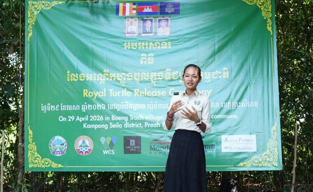 អណ្តើកហ្លួង ជាប្រភេទសត្វជិតផុតពូជ ចំនួន ២០ក្បាល ត្រូវបានលែងឱ្យចូលក្នុងដែនជម្រក ធម្មជាតិឡើងវិញ