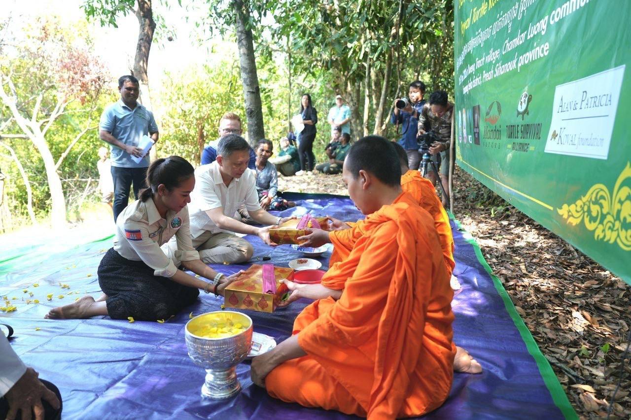 អណ្តើកហ្លួង ជាប្រភេទសត្វជិតផុតពូជ ចំនួន ២០ក្បាល ត្រូវបានលែងឱ្យចូលក្នុងដែនជម្រក ធម្មជាតិឡើងវិញ