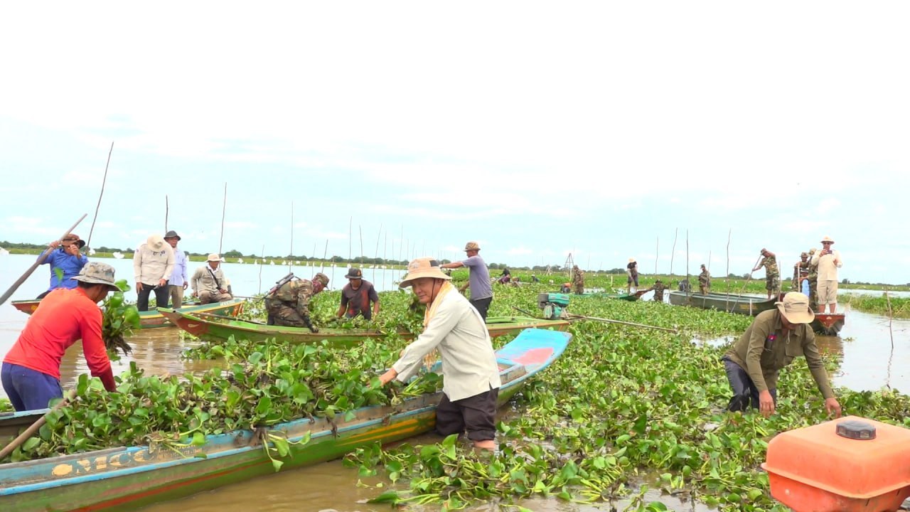 មន្ត្រីជំនាញ បញ្ជាក់ថា មូលហេតុនៃករណីត្រីងាប់នៅបឹងតាមោក បណ្តាលមកពីកត្តាគ្រោះធម្មជាតិ