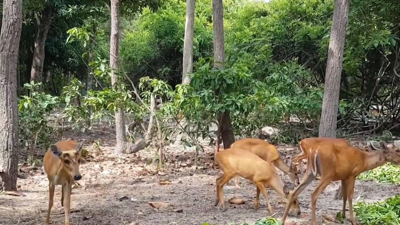 ភ្នំតាម៉ៅ ជារមណីយដ្ឋានចំរុះ