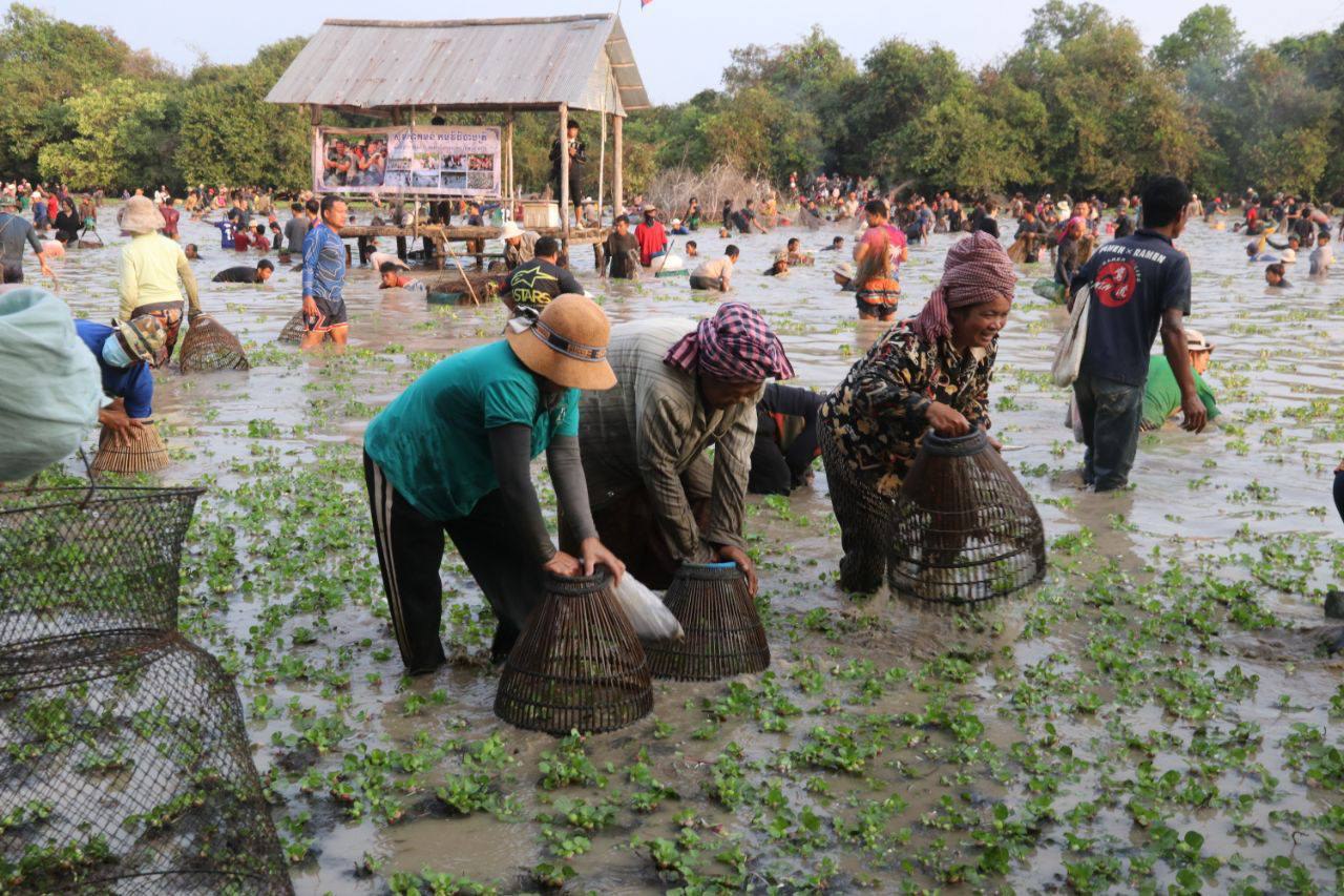 ពិធីចាប់ត្រីរួមគ្នាសម្រាប់ពិធីបុណ្យឡើងមាឃនៅខេត្តសៀមរាបមានអ្នកចូលរួមច្រើនកុះករ