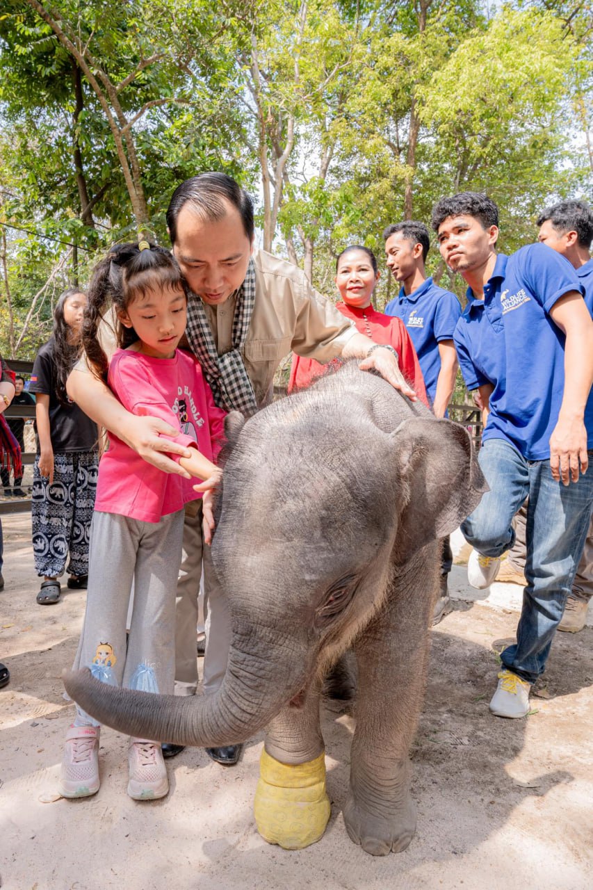 រដ្ឋមន្ត្រីព័ត៌មានបង្ហាញក្តីរីករាយពេលឃើញ កូនដំរីឈ្មោះ«លំផាត់»មានសុខភាពល្អ