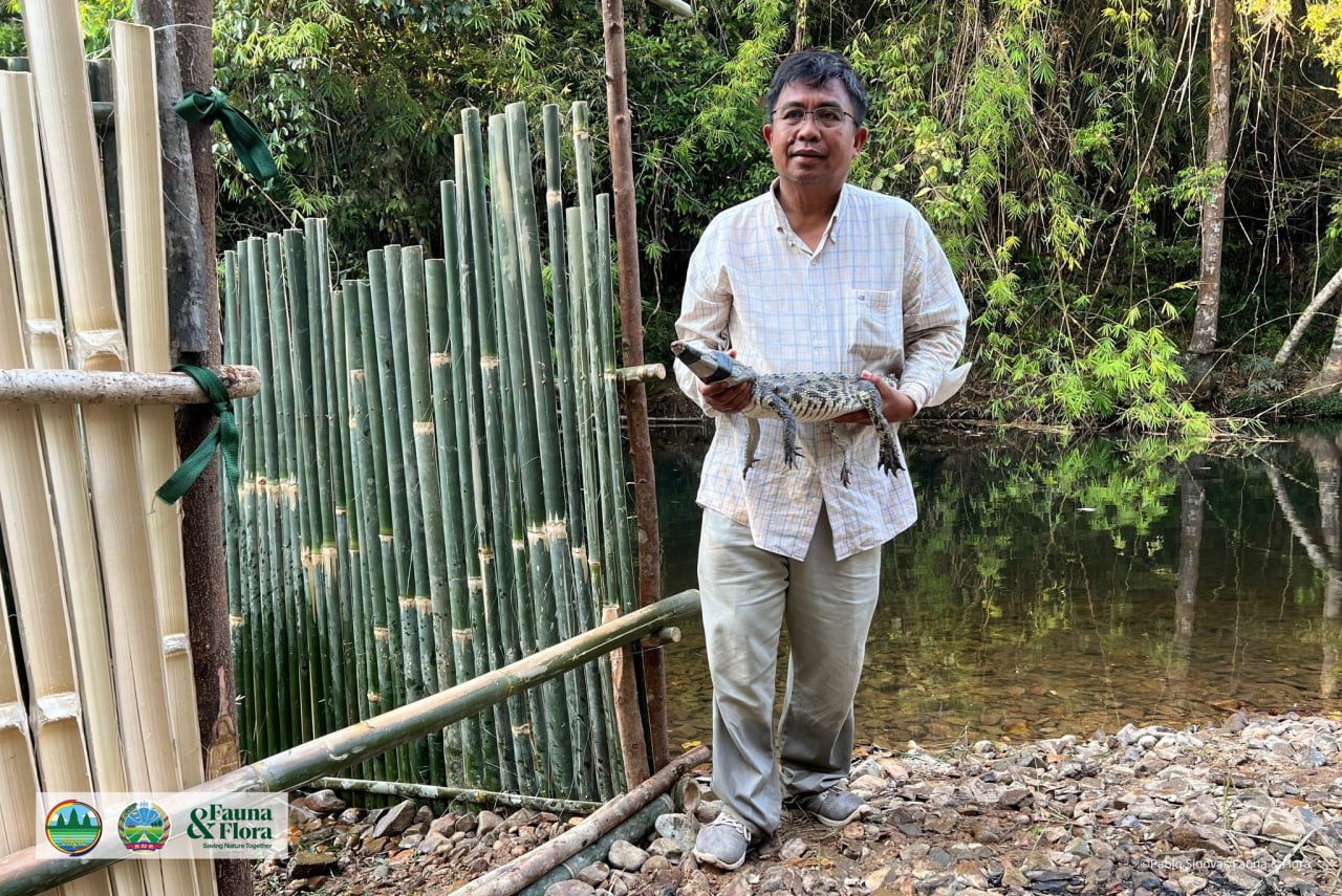 អង្គការសត្វព្រៃ លែងក្រពើភ្នំពូជសុទ្ធចំនួន ១០ ក្បាល ជាលើកដំបូង នៅតំបន់ឧទ្យានជាតិវីរៈជ័យ